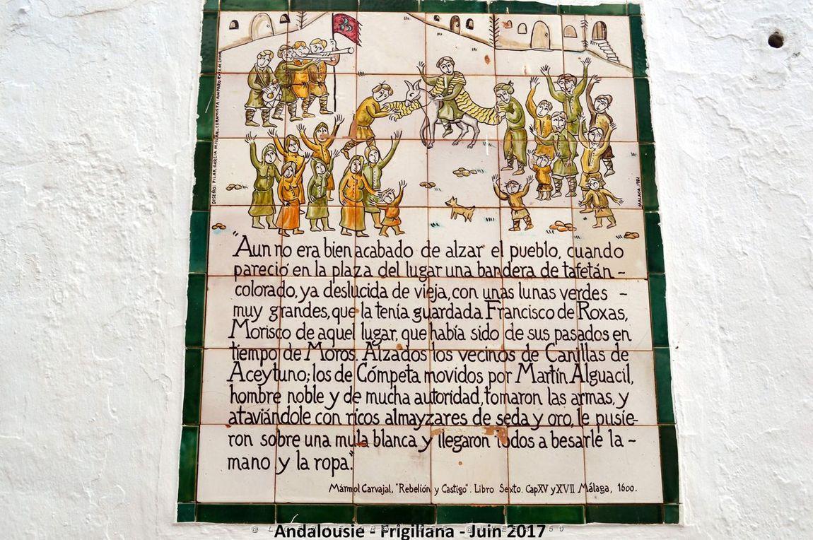 557 - Frigiliana.JPG